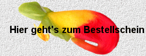 Papageienschnabelblume